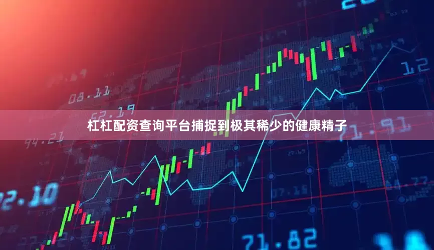 杠杠配资查询平台捕捉到极其稀少的健康精子